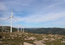 Dziesięć postulatów branży energetyki wiatrowej dla Polski Energetyka wiatrowa