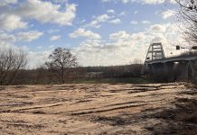 W obszarze Natura 2000 ma powstać “drapacz chmur”; zastrzeżenia RDOŚ po zgłoszeniu społeczników