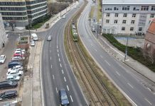 Poznań. Droga rowerowa na Starym Mieście z nowymi nasadzeniami drzew i krzewów