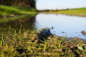NIK o Programie kształtowania zasobów wodnych na terenach rolniczych