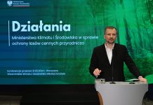 Wiceminister klimatu: nieformalnie powołaliśmy zespół ds. ochrony lasów cennych przyrodniczo i ważnych społecznie