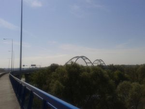 Toruń. WIOŚ zawiadomił prokuraturę ws. nawiezienia ziemi i gruzu w obszarze Natura 2000