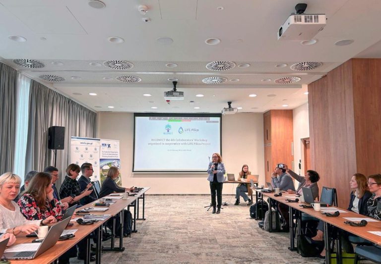 Odnowa rzeki Pilicy w ramach międzynarodowego projektu