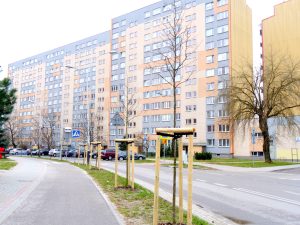 Prezydent Stalowej Woli zapowiada istotną zmianę zarządzania zielenią miejską