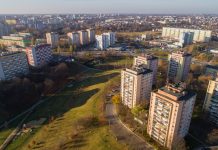 Lublin konsultuje z mieszkańcami ochronę najcenniejszych terenów zieleni