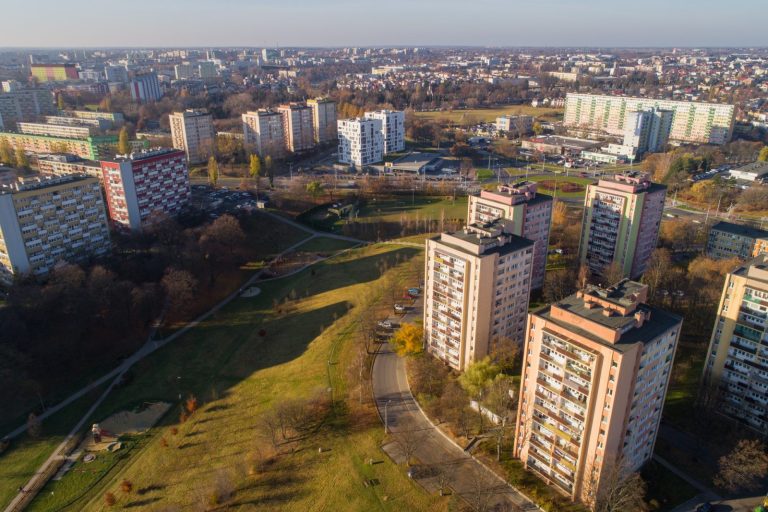 Lublin konsultuje z mieszkańcami ochronę najcenniejszych terenów zieleni