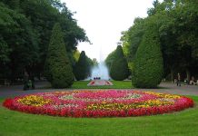 Białystok. Zbiórka podpisów w sprawie ratowania 95-letnich tuj w parku Planty