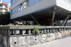 Chcą ocalić wrocławski trzonolinowiec