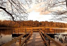 Park krajobrazowy