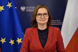 Sowińska: Gruntowna zmiana tzw. ustawy czystościowej nie w tej kadencji parlamentarnej