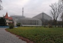 Gliwicka Palmiarnia ma 100 lat