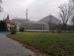 Gliwicka Palmiarnia ma 100 lat