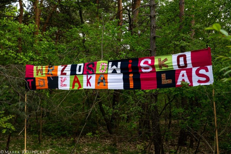 Toruń. Mieszkańcy walczą o Park Naturalny Wrzosowisko na terenach leśnych i łąkowych