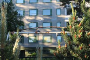Nowa szansa dla gmin na zmniejszenie skutków kryzysu mieszkaniowego