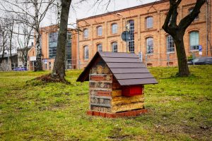 Katowickie pszczoły z lepszymi warunkami mieszkaniowymi