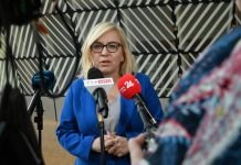 Hennig-Kloska: cele klimatyczne na 2040 r. b臋d膮 dla Polski nieosi膮galne