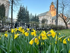 Pozimowe sprzątanie miasta ruszyło w Lublinie