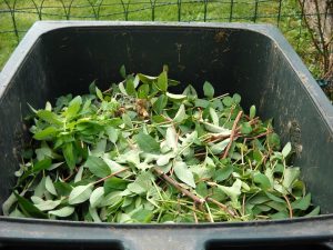 Najwyższa pora poprawić recykling bioodpadów