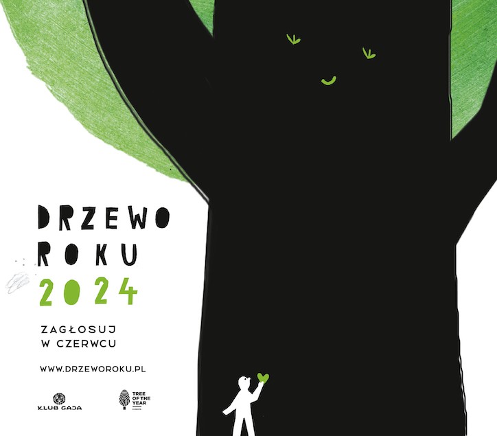 Znamy 16 finalistów konkursu Drzewo Roku w Polsce