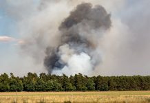Susza w Europie. Pożary i konflikty o wodę
