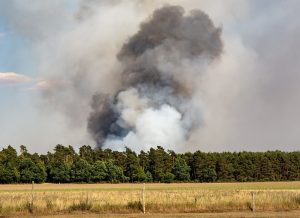 Susza w Europie. Pożary i konflikty o wodę