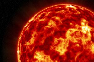 Ekspert: ciepły luty to obraz systemowej zmiany klimatu