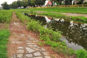 Wielkie porządki brzegów Bystrzycy