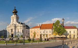 Wadowice stawiają na
