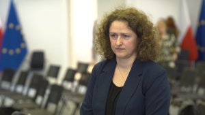 Za dużo sztucznego światła?  To zmienia czas kwitnienia roślin i zmniejsza liczbę owadów zapylających