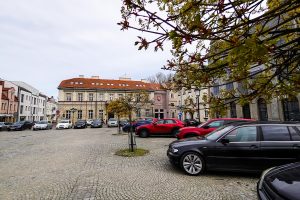Strategia Rozwoju Konina z poszanowaniem środowiska naturalnego