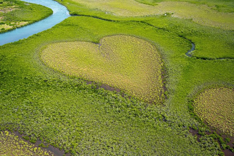 Dzień Matki Ziemi. Dzień iluzji nieskończonych zasobów.