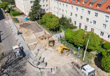 Urządzanie lasu kieszonkowego na poznańskich Jeżycach