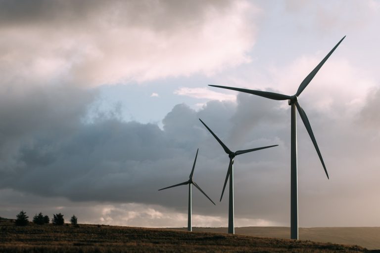 Raport: na świecie przez rok moce energii wiatrowej wzrosły o 50 proc.