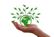 Raport: pokolenie Z odgrywa ważną rolę w transformacji klimatycznej