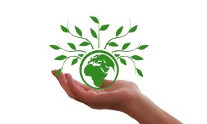 Raport: pokolenie Z odgrywa ważną rolę w transformacji klimatycznej