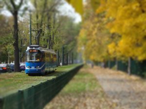 Naukowcy sprawdzają, czy tramwaje mogą wspomóc miejską przyrodę
