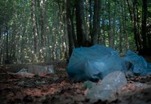 Mazowieckie. Wyrzucali odpady w lesie. Zostali przyłapani na gorącym uczynku