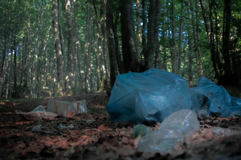 Mazowieckie. Wyrzucali odpady w lesie. Zostali przyłapani na gorącym uczynku