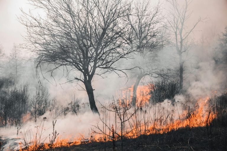 Naukowcy: monitoring zanieczyszczeń po pożarach jest zbyt słaby