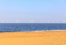 Pierwsza w Polsce wystawa o morskiej energetyce wiatrowej morska farma wiatrowa