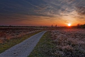 Państwa członkowskie UE zatwierdziły nowe przepisy o ochronie zasobów przyrody. Polska była przeciwna