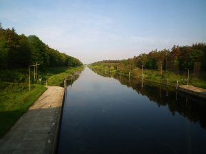 Zachodniopomorskie. Wojewoda: złota alga może być jedną z przyczyn śnięcia ryb