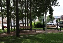 Park kieszonkowy z lawendą w roli głównej powstał w Białymstoku