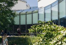 Uniwersytet w Białymstoku wykleja powierzchnie szklane specjalną folią by ochronić ptaki przed zderzeniami