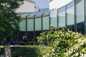 Uniwersytet w Białymstoku wykleja powierzchnie szklane specjalną folią by ochronić ptaki przed zderzeniami