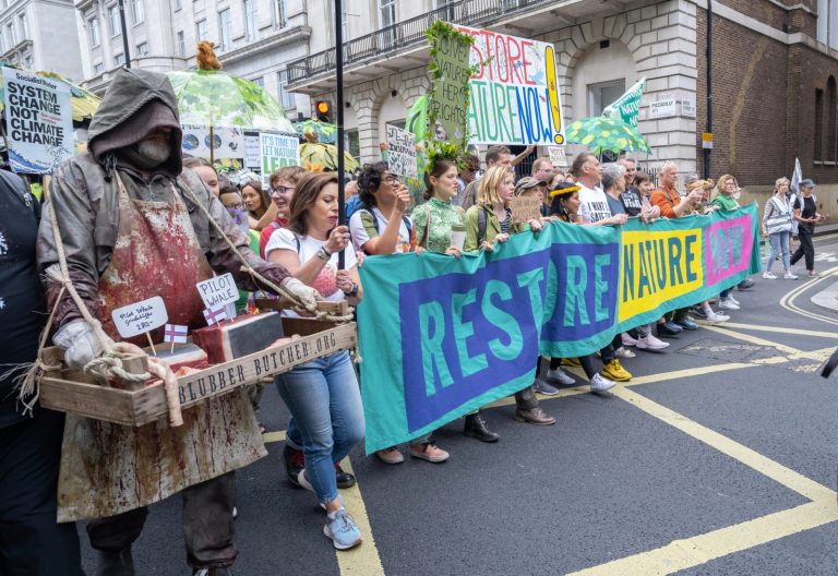 Radykalne formy protestów klimatycznych mogą mieć wpływ na spadek poparcia społecznego dla działań na rzecz klimatu