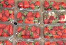 Nowe obowiązki przedsiębiorców dotyczące jednorazowych opakowań z plastiku. Co na to konsumenci?