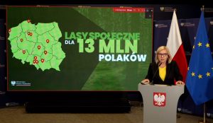 Gdzie powstaną lasy społeczne? MKiŚ proponuje 14 lokalizacji