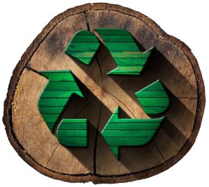 Recykling drewna i materiałów drewnopochodnych