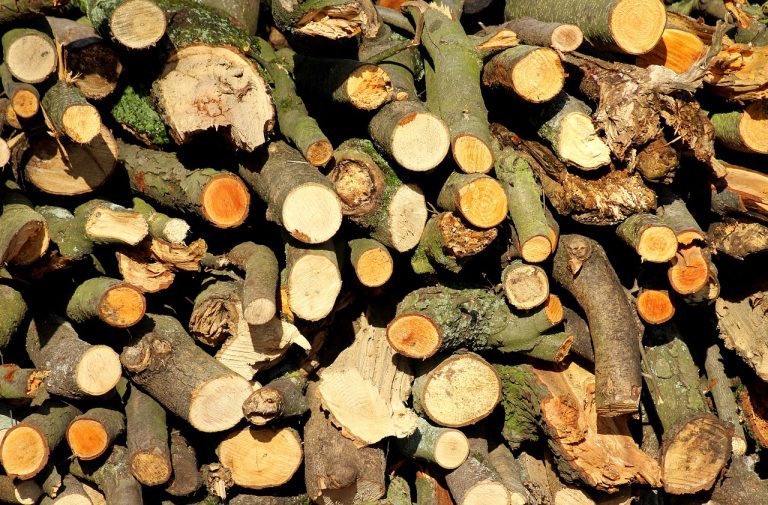 Pełnowartościowe drewno trafi do energetyki?